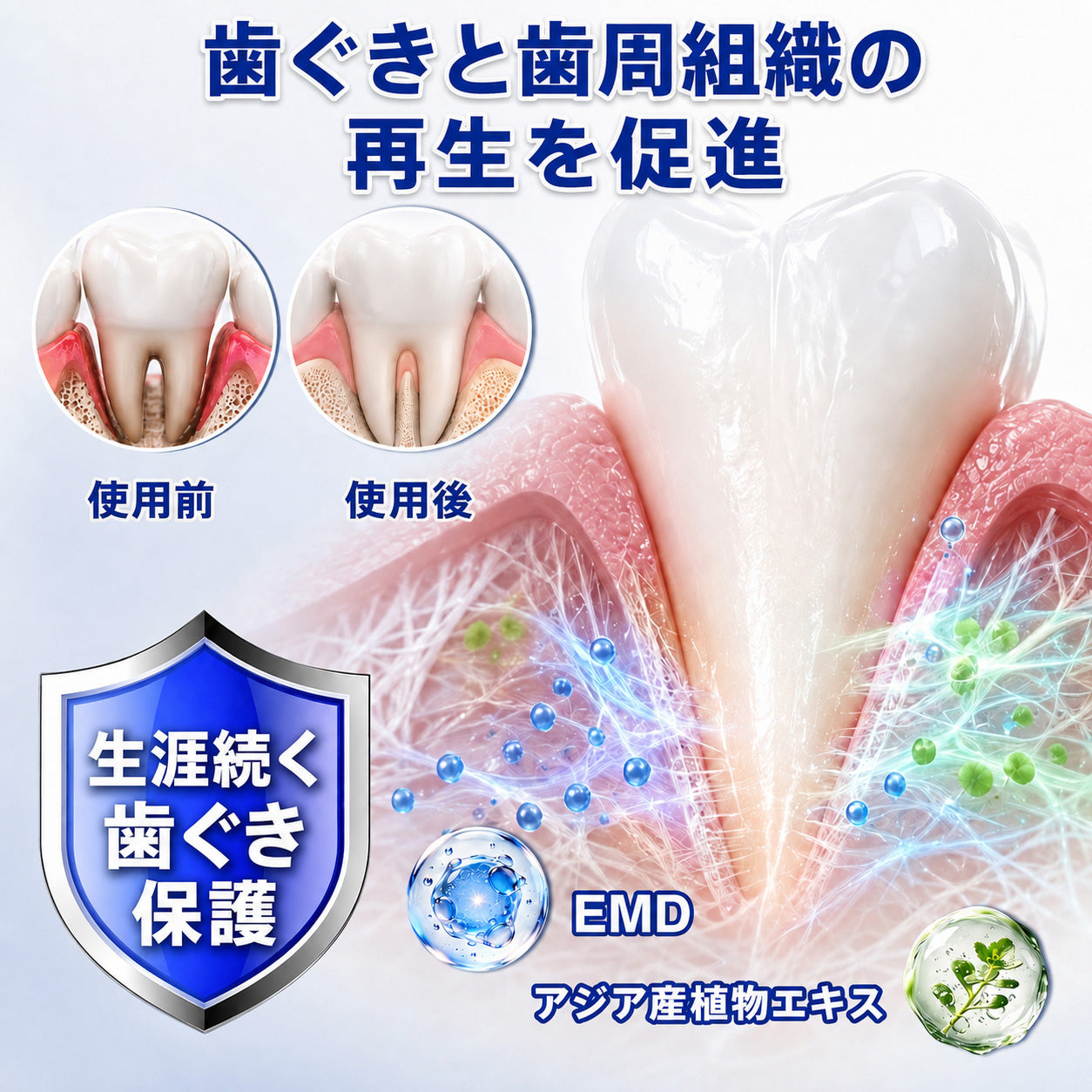 🇯🇵 👨‍⚕️✅🦷 HEATWOLF® GumRevive – 歯周組織修復ジェル 🦷✨